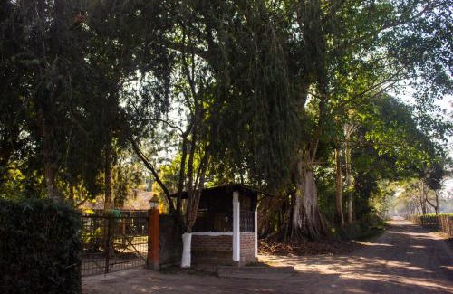 Jorhat House | Puroni Bheti Tea and Farm Retreat