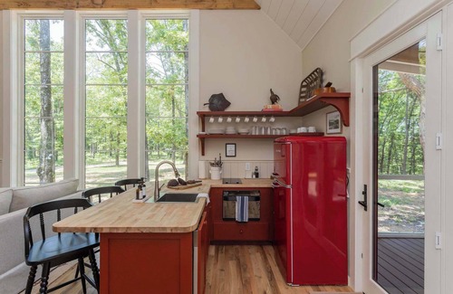 McEwen House | Purple Martin: Secluded Forest Birdwatcher