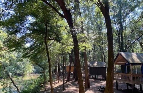 Juliette House | Purple Pines