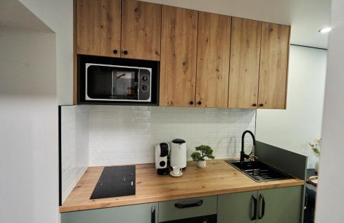 Chisinau Apartment | Puskin Residence