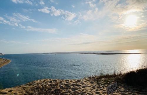 Pyla-sur-Mer Apartment | Pyla sur Mer - Appartement terrasse sous les pins - 200m de la plage