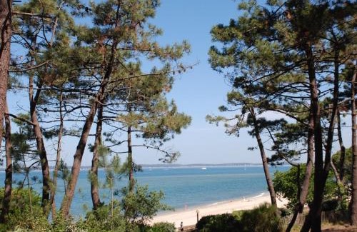 Pyla-sur-Mer Apartment | Pyla sur Mer - Appartement terrasse sous les pins - 200m de la plage