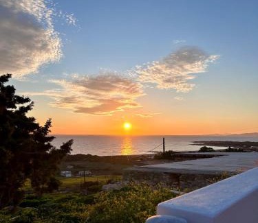 Naxos House | Pytilia