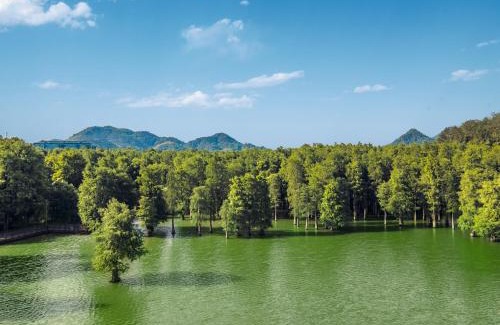 Xiacheng Apartment | Qingshan Lake Tianlan Hotel Hangzhou