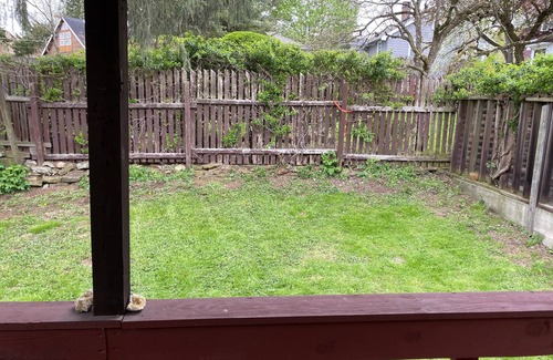 Warren Apartment | Quaint 2 bedroom apartment. 5 minute walk to down town Close to local bike trail