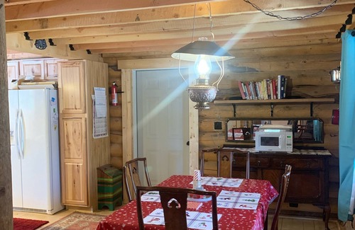 Twin Lakes Cabin | Quaint Cabin in the Woods by Mount Elbert & Pet friendly