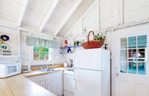 Moultonborough Cottage | Quaint cottage with lake views, firepit, swim raft, community beach & dock
