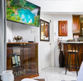 Ocho Rios Apartment | Quaint Mini-Mystic Studio!