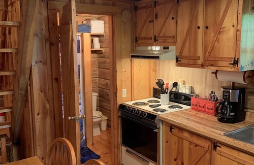 Flat Hollow Marina Cabin | Quaint, Rustic Lakefront Log Cabin on Wooded Lot at Norris Lake ,Private Dock!