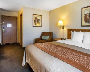 Lone Pine Hotel | Quality Inn Lone Pine near Mount Whitney