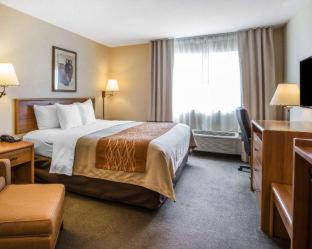 Lone Pine Hotel | Quality Inn Lone Pine near Mount Whitney