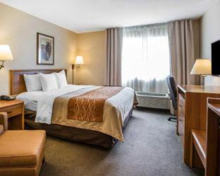 Lone Pine Hotel | Quality Inn Lone Pine near Mount Whitney