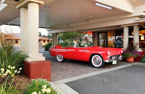 Detroit Lakes Hotel | Quality Inn & Suites Detroit Lakes