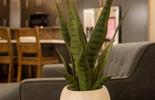 Terrace Hotel | Quality Inn Sunshine Suites
