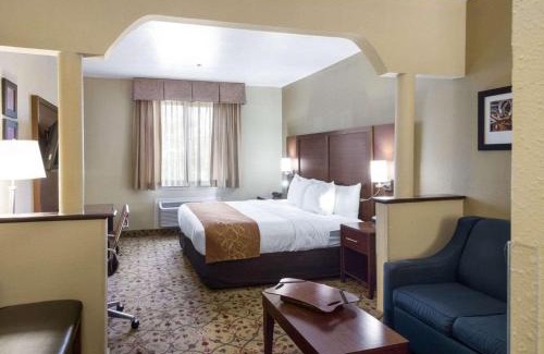 Midland Hotel | Quality Suites Midland North Loop 250