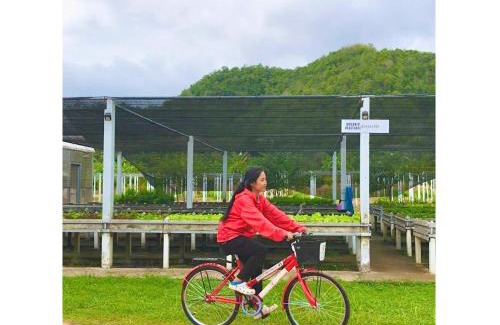 Huai Sat Yai Other | Quality Time Farmstay: Bamboo House