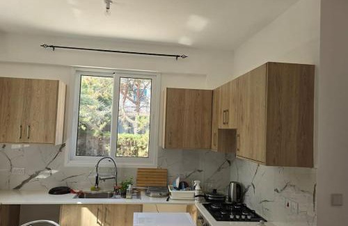 Agios Georgios Pegeias Villa | Queen Eyridiki Luxury Villa 2