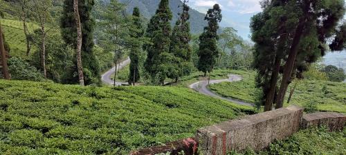 Takdah House | Queen's Nest Homestay