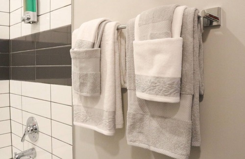 Optimist Park Apartment | Queen 👑 Suite~FREE WIFI & PARKING~10mins from Bank of America Stadium 🏟