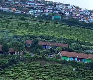 Ooty Apartment | Queenhill homestay