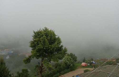 Ooty Apartment | Queenhill homestay