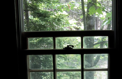 Blue Hill Cabin | Quiet 2-bedroom cabin in scenic Blue Hill with WiFi, AC