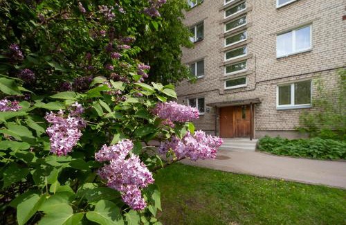 Andrejsala Apartment | Quiet apartment next to Old Riga