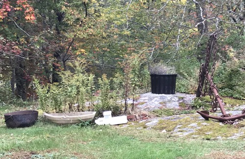 East Boothbay Cottage | Quiet family and pet friendly home