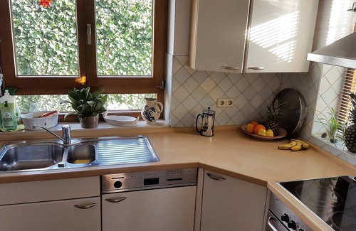 Uhldingen-Muehlhofen Apartment | quiet Lake Constance oasis in the countryside with cat care