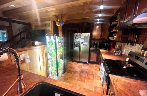 Rye Cabin | Quiet luxury 3 bedroom mountain cabin with year round beauty and spring