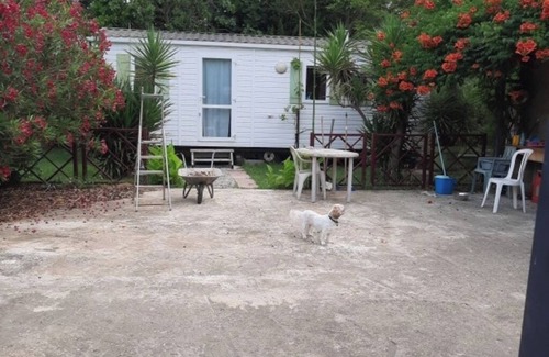 Sainte-Marie-la-Mer House | Quiet mobile home with garden & private terrace, close to the beach.