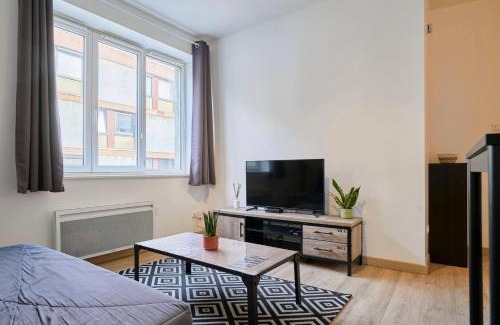 Vauban Esquermes Apartment | Quiet one-bedroom flat close to the metro