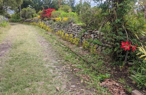 Ibarra House | Quiet place in the country
