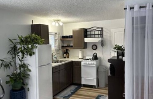 Spenard Cottage | Quiet, safe neighborhood. Minutes to airport/downtown. Military discounts.