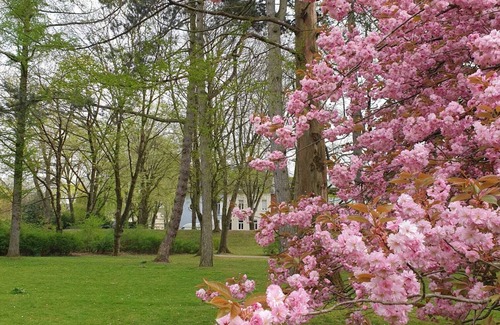Moers Apartment | Quiet vacation apartment right next to Moers Castle Park