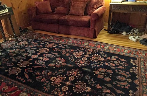 Downtown Berkeley House | Quiet, walkable north Berkeley home, near UC, Downtown, BART