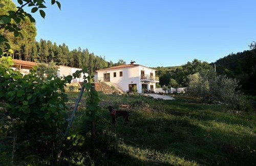 Arganil House | Quinta da Aldeia Nova