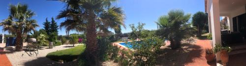 Nora Bed & Breakfast | Quinta das Amendoeiras B&B