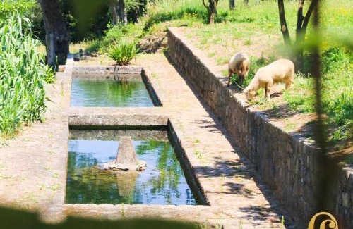 Ponte de Lima House | Quinta das Fontes
