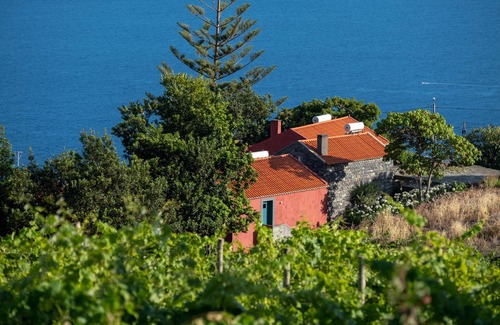 Estreito da Calheta House | Quinta das Vinhas