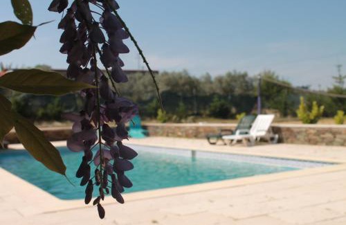 Macedo de Cavaleiros House | Quinta do Adil