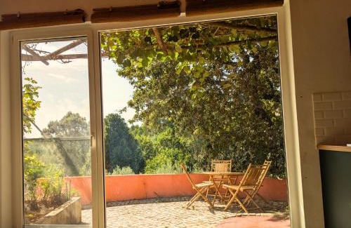 Pedrogao Grande House | Quinta dos Sarilhos