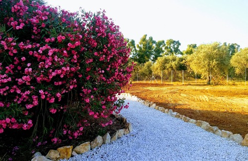 Alghero House | Quinta Esencia - Water Suite