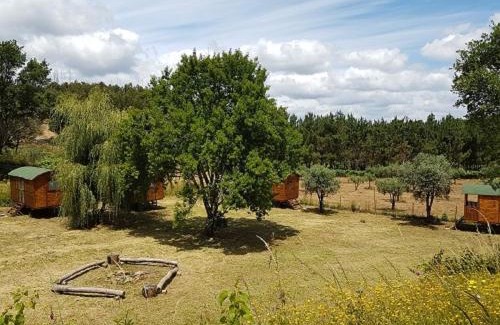 Serta Other | Quinta Portugo
