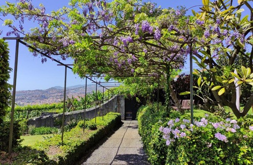 Sao Goncalo Bed & Breakfast | Quinta São Gonçalo