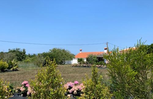 Cabeco de Aguia House | Quinta Samor
