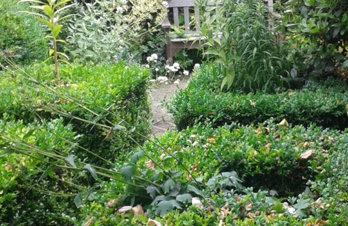 Ludwel House | Quirky Old Ludlow House