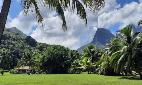 French Polynesia House | Résidence Apaura