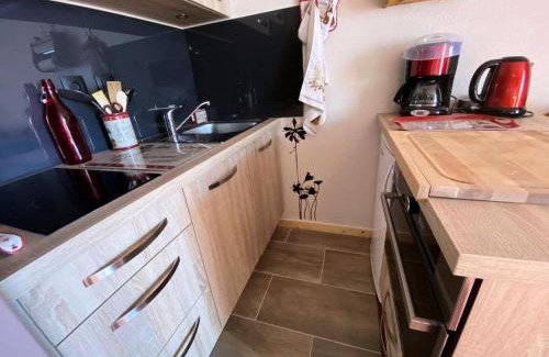 Mont-de-Lans Apartment | Résidence Galibier Iii - Appartement montagnard avec vue sublime, 6 pers., proche des pistes MAE-5651