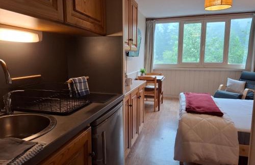 Laveissiere Apartment | Résidence LE BEC DE L'AIGLE